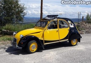 imagem_3