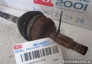 imagem_3