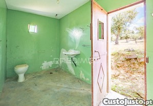 imagem_31