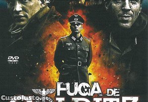 imagem_8