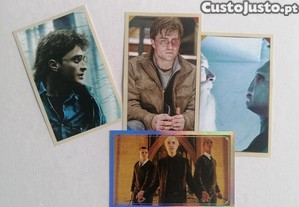 imagem_1