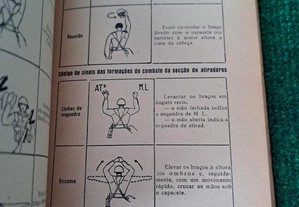 imagem_8