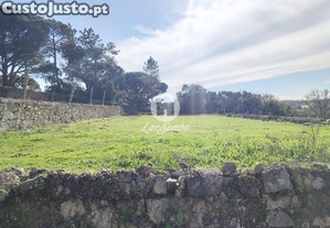 imagem_21