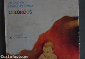 imagem_2
