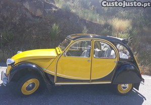 imagem_5