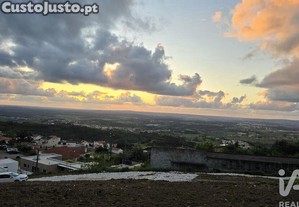 imagem_14