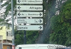 imagem_20