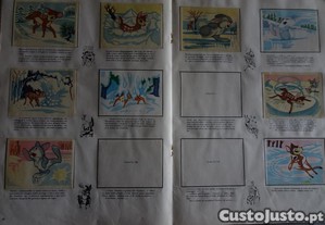 imagem_4