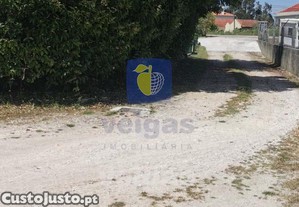 imagem_8