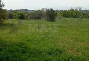 Terreno rústico com 4,04 hectares com olival, sobr
