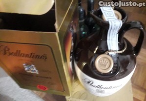 imagem_3