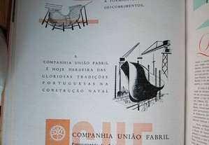 imagem_5
