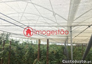 imagem_16
