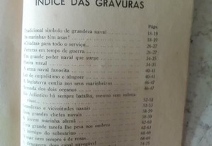 imagem_4
