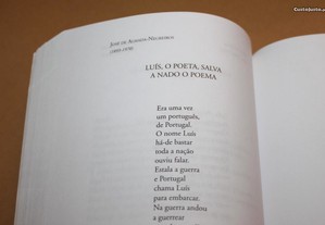 imagem_6