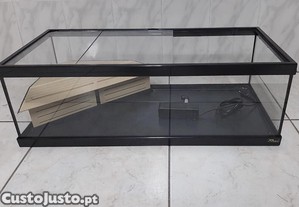Aquário / tartarugueira