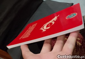 imagem_8