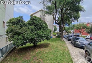 imagem_19
