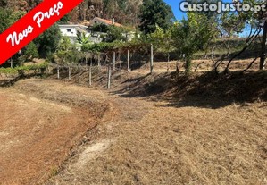 Terreno Com 1.700M2 De Área Com Uma Pequena...