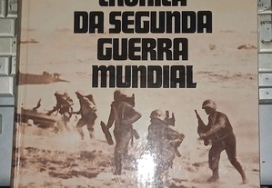 imagem_8