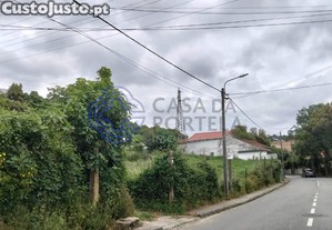 imagem_7