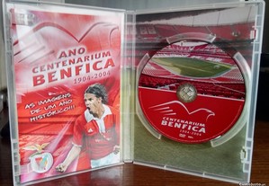 imagem_8