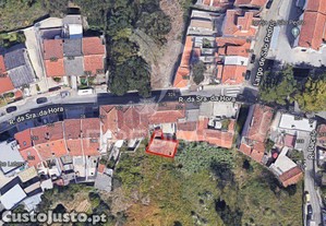 imagem_16