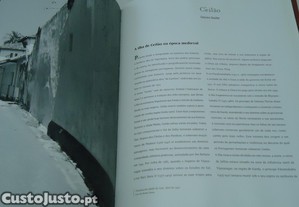 imagem_8