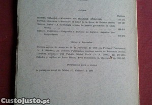 imagem_6