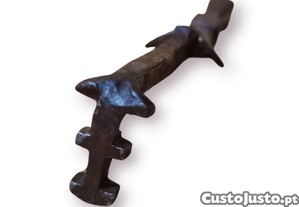 imagem_5