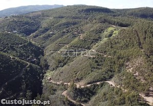 Terreno Rústico Em Alferce, Monchique