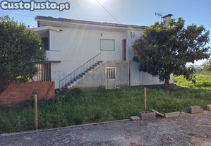 imagem_8
