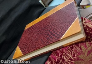 imagem_4