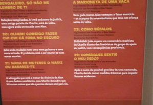 imagem_14