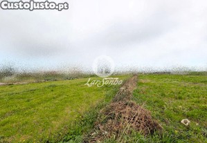 imagem_8
