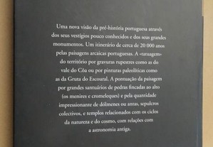 imagem_8