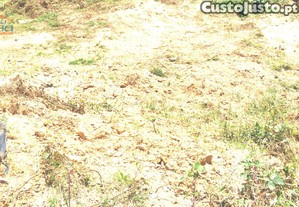 imagem_16
