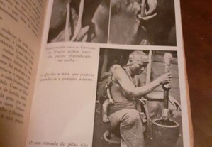 imagem_8