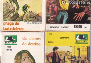 imagem_1
