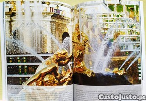 imagem_6
