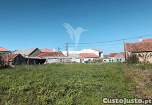 Terreno situado em tojal, porto de mós
