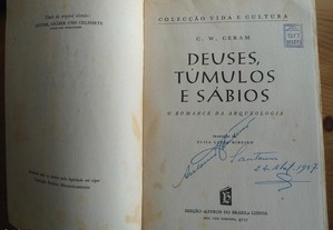 imagem_7