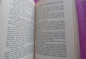 imagem_8