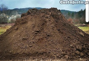 Aceito terra em terreno de Alvaraes