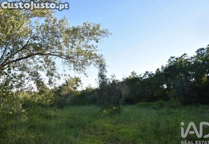 imagem_28