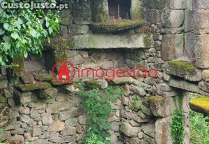 imagem_18