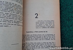 imagem_8