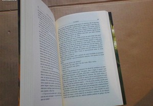 imagem_6