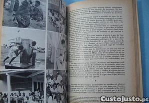 imagem_5