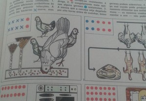 imagem_4